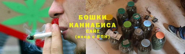 PSILOCYBIN Богданович