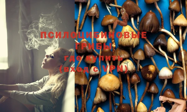 PSILOCYBIN Богданович
