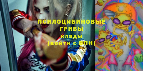 PSILOCYBIN Богданович