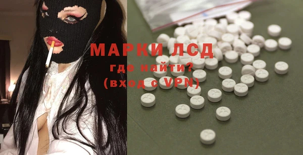 PSILOCYBIN Богданович