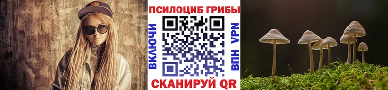 Псилоцибиновые грибы Magic Shrooms  Курган 